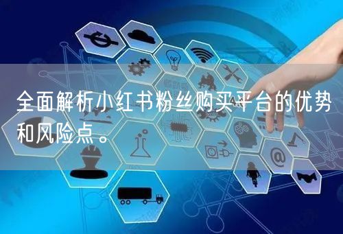 全面解析小红书粉丝购买平台的优势和风险点。