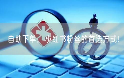 自助下单，小红书粉丝的首选方式！