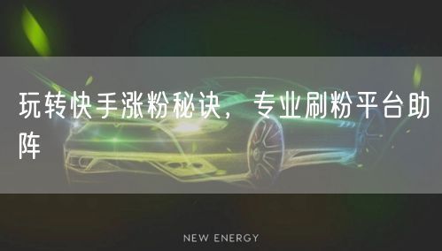 玩转快手涨粉秘诀，专业刷粉平台助阵