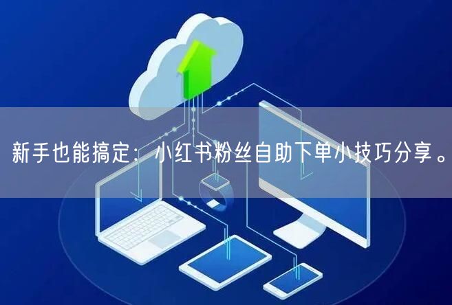 新手也能搞定：小红书粉丝自助下单小技巧分享。