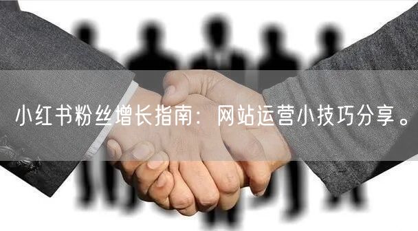 小红书粉丝增长指南：网站运营小技巧分享。