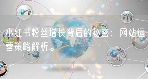 小红书粉丝增长背后的秘密：网站运营策略解析。