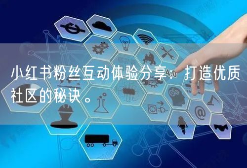 小红书粉丝互动体验分享：打造优质社区的秘诀。