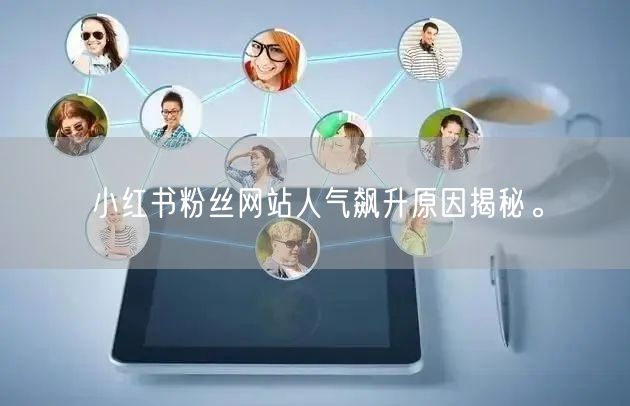 小红书粉丝网站人气飙升原因揭秘。