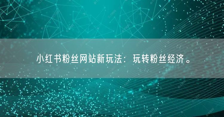 小红书粉丝网站新玩法：玩转粉丝经济。