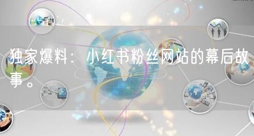 独家爆料：小红书粉丝网站的幕后故事。
