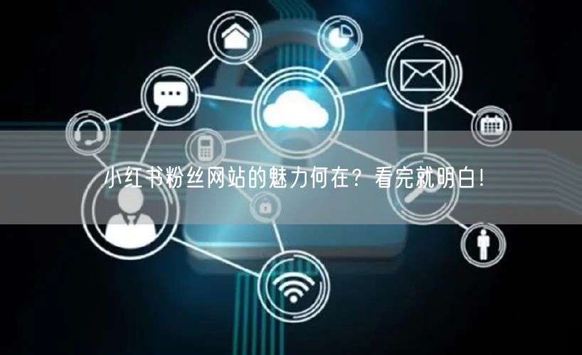 小红书粉丝网站的魅力何在？看完就明白！