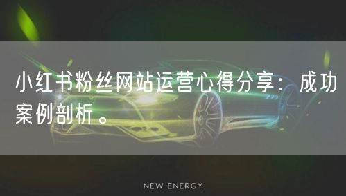 小红书粉丝网站运营心得分享：成功案例剖析。