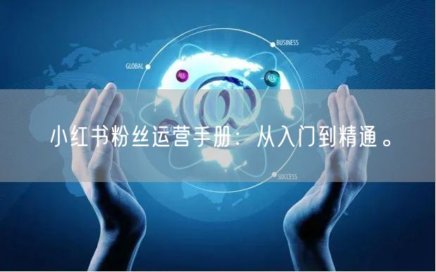 小红书粉丝运营手册：从入门到精通。