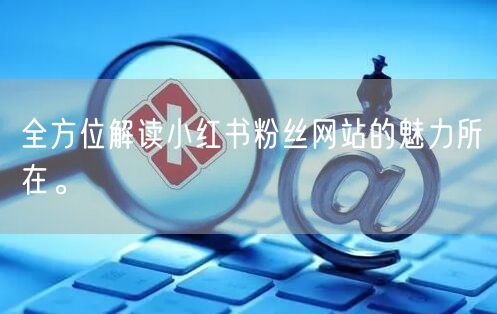 全方位解读小红书粉丝网站的魅力所在。