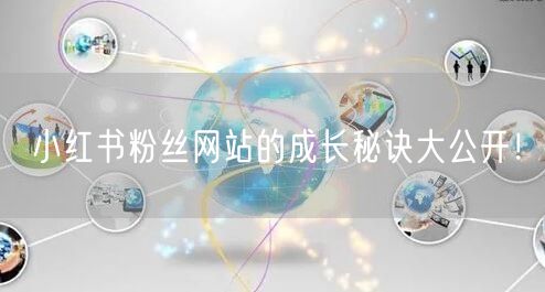 小红书粉丝网站的成长秘诀大公开！