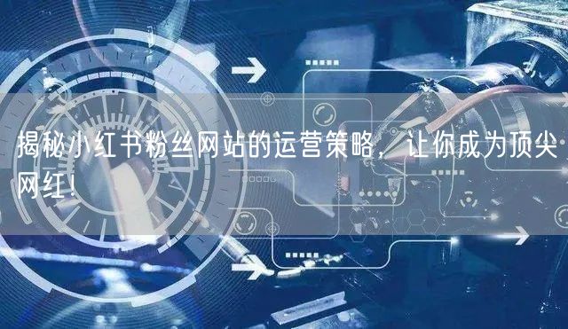 揭秘小红书粉丝网站的运营策略，让你成为顶尖网红！