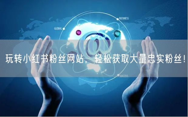 玩转小红书粉丝网站，轻松获取大量忠实粉丝！