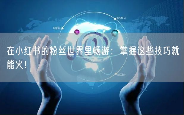 在小红书的粉丝世界里畅游：掌握这些技巧就能火！