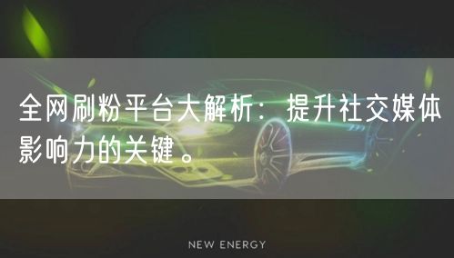 全网刷粉平台大解析：提升社交媒体影响力的关键。