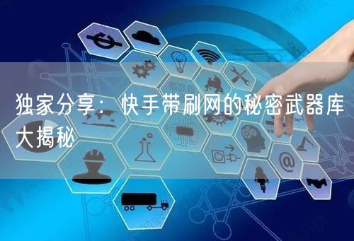 独家分享：快手带刷网的秘密武器库大揭秘