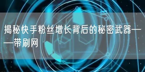 揭秘快手粉丝增长背后的秘密武器——带刷网