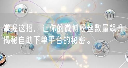 掌握这招，让你的微博粉丝数量飙升！揭秘自助下单平台的秘密。