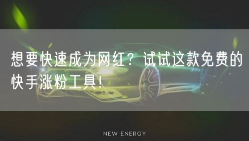 想要快速成为网红？试试这款免费的快手涨粉工具！