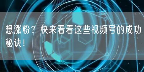 想涨粉？快来看看这些视频号的成功秘诀！