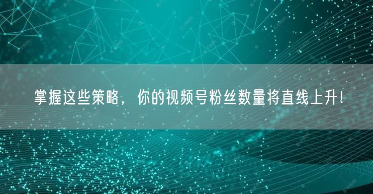 掌握这些策略，你的视频号粉丝数量将直线上升！