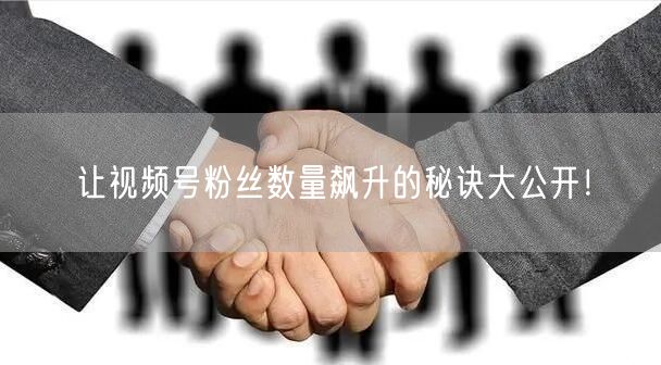 让视频号粉丝数量飙升的秘诀大公开！