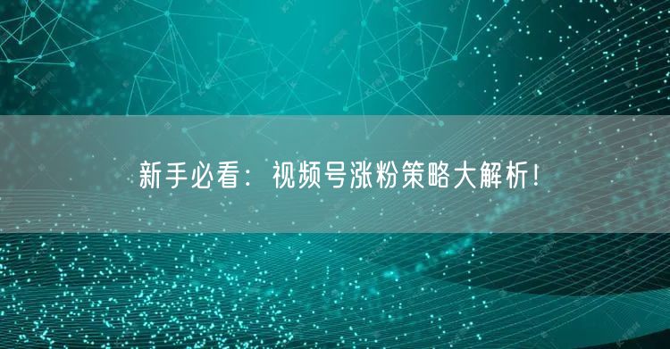 新手必看：视频号涨粉策略大解析！