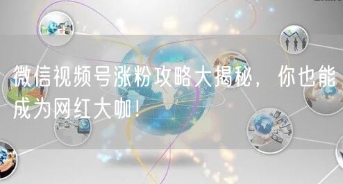 微信视频号涨粉攻略大揭秘，你也能成为网红大咖！