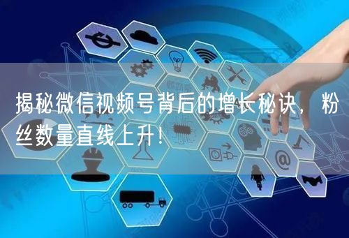 揭秘微信视频号背后的增长秘诀，粉丝数量直线上升！