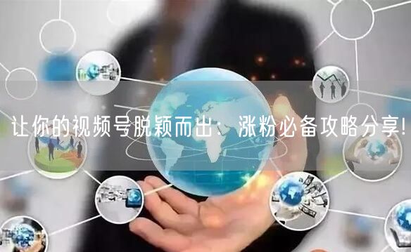 让你的视频号脱颖而出：涨粉必备攻略分享!