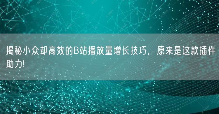 揭秘小众却高效的B站播放量增长技巧，原来是这款插件助力!