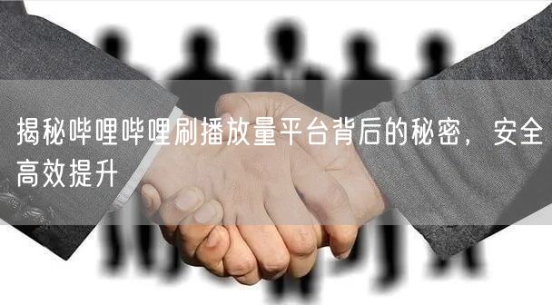 揭秘哔哩哔哩刷播放量平台背后的秘密，安全高效提升