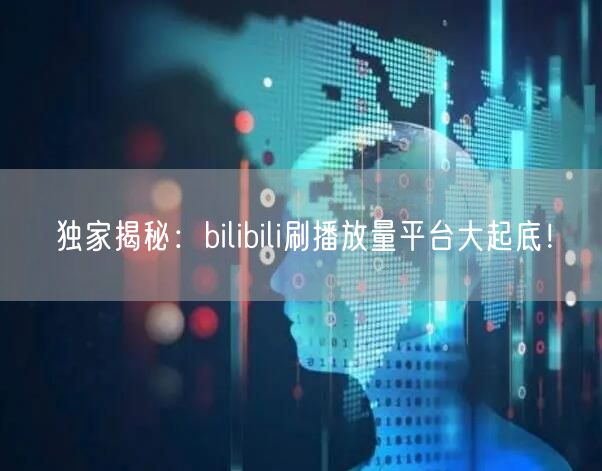 独家揭秘：bilibili刷播放量平台大起底！