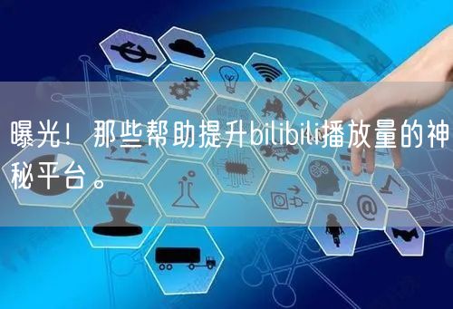 曝光！那些帮助提升bilibili播放量的神秘平台。