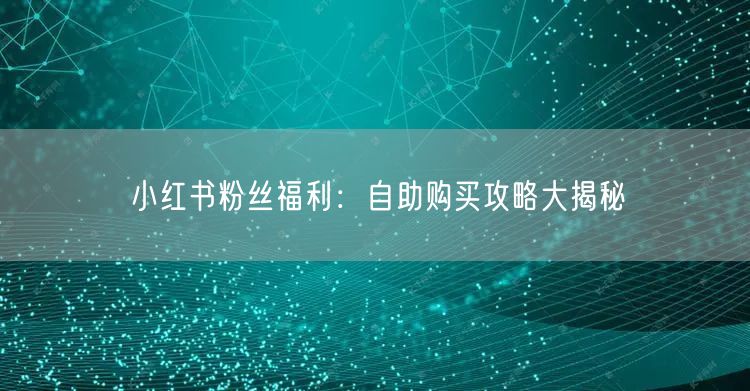 小红书粉丝福利：自助购买攻略大揭秘