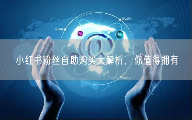 小红书粉丝自助购买大解析，你值得拥有