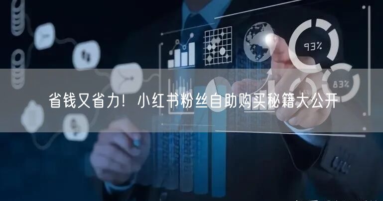 省钱又省力！小红书粉丝自助购买秘籍大公开