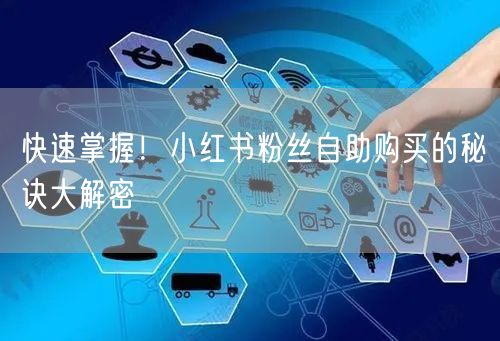 快速掌握！小红书粉丝自助购买的秘诀大解密