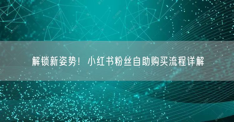 解锁新姿势！小红书粉丝自助购买流程详解