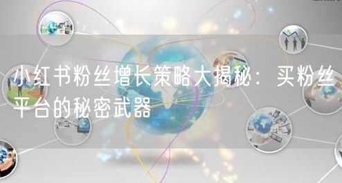 小红书粉丝增长策略大揭秘：买粉丝平台的秘密武器
