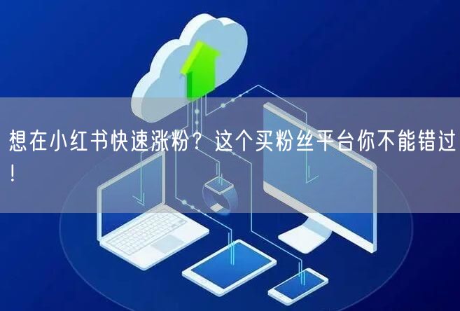 想在小红书快速涨粉？这个买粉丝平台你不能错过！