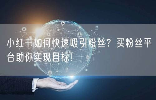 小红书如何快速吸引粉丝？买粉丝平台助你实现目标！