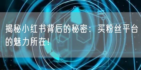 揭秘小红书背后的秘密：买粉丝平台的魅力所在！