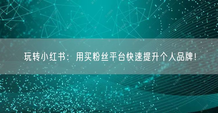 玩转小红书：用买粉丝平台快速提升个人品牌！