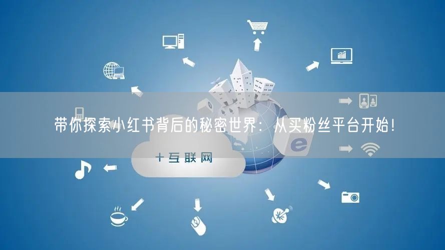带你探索小红书背后的秘密世界：从买粉丝平台开始！