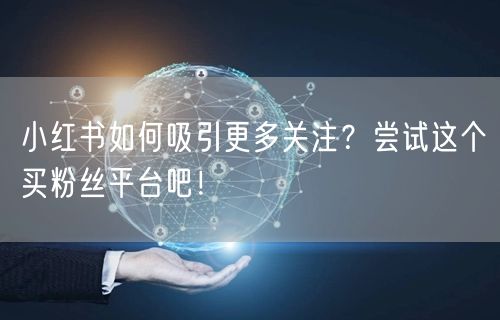 小红书如何吸引更多关注？尝试这个买粉丝平台吧！