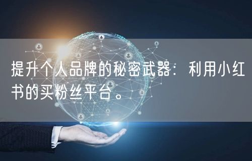 提升个人品牌的秘密武器：利用小红书的买粉丝平台。