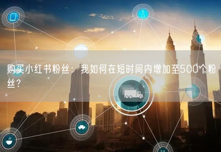 购买小红书粉丝：我如何在短时间内增加至500个粉丝？
