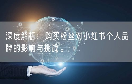 深度解析：购买粉丝对小红书个人品牌的影响与挑战。