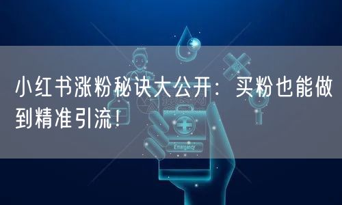 小红书涨粉秘诀大公开：买粉也能做到精准引流！